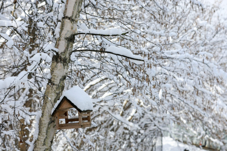 Погодные приметы 19 ноября