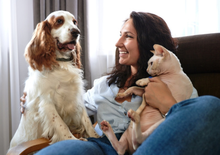 Биолог сравнила интеллект кошек и собак