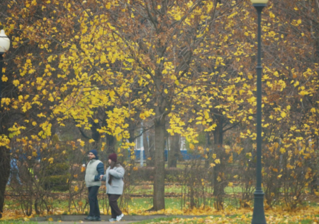 Москвичам пообещали рекордно высокую температуру