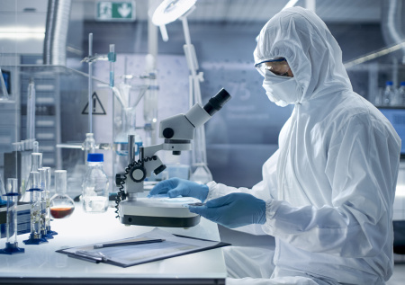 В российском регионе начал действовать карантин по бешенству