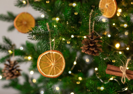 Елочные игрушки из апельсинов: как наполнить дом волшебным ароматом Нового года