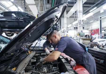 Крысы начали массово атаковывать машины россиян