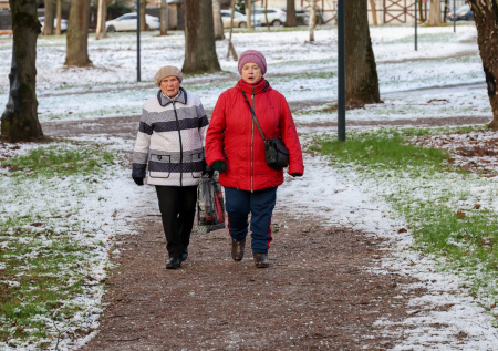 Володин ответил на слухи о повышении пенсионного возраста