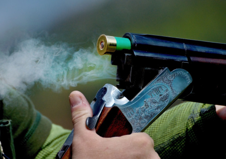 Двое заскучавших живодеров выбрали собаку в качестве мишени