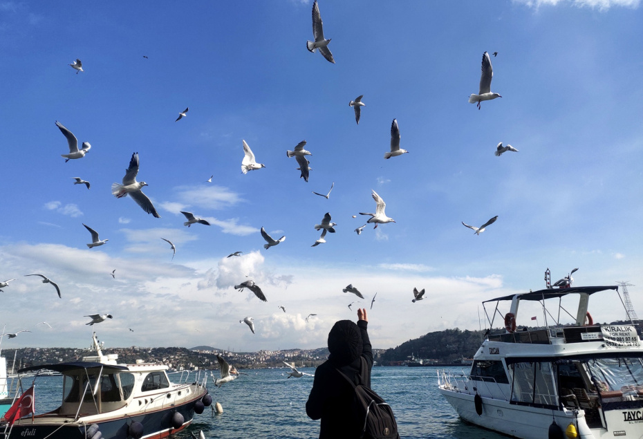 Зимний отдых в Стамбуле