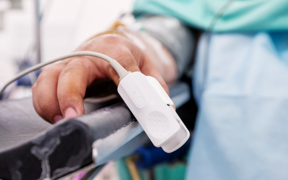 20 ноября — какой сегодня праздник отмечают в России и мире