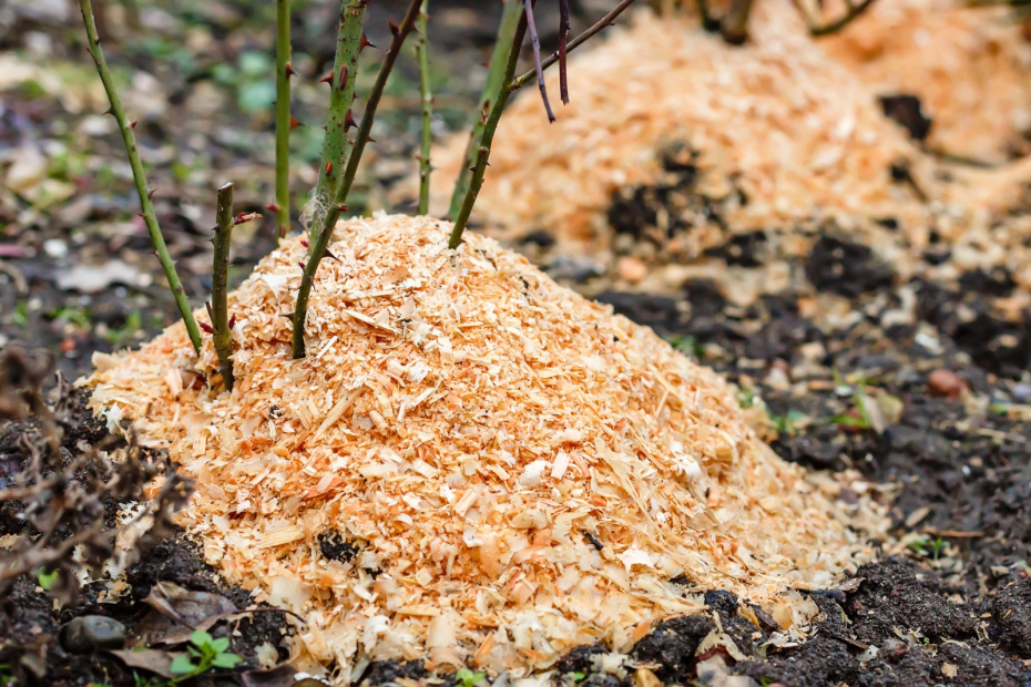 Правильное утепление корневой системы: пошаговая инструкция