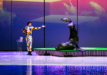 Премьерный сезон шоу «Море снов» завершится в «Москвариуме»