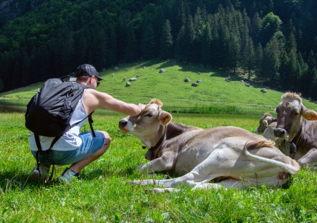 В Крыму рассказали, как выросло число агротуристических предприятий