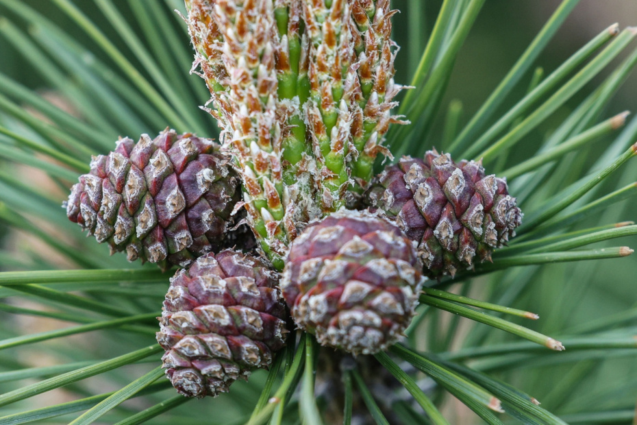 Какой будет погода 21 ноября? Народные приметы