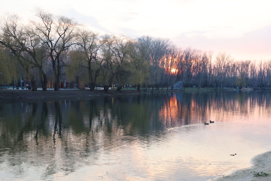 Приметы на Михайлов день