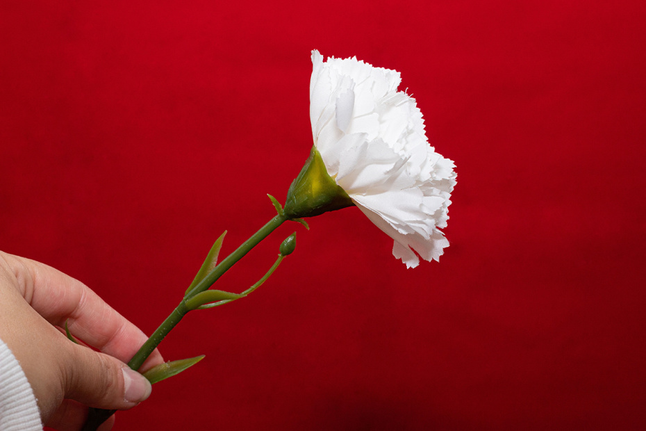 Как отмечают День матери в разных странах: даты, традиции и подарки