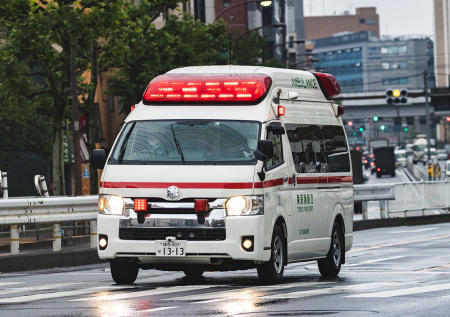 Смертельная авиакатастрофа произошла в горах Японии