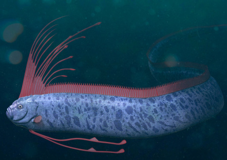 Мужчина нашел на пляже огромное существо, предвещающее катастрофы