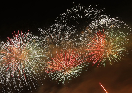 В Госдуме призвали запретить фейерверки до конца СВО