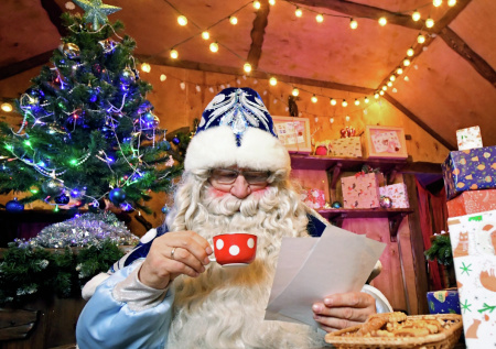 Названа самая необычная просьба ребенка к Деду Морозу
