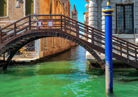 Гранд-канал в Венеции «позеленел» от вида Греты Тунберг