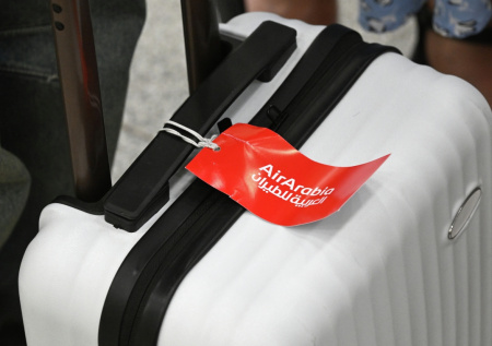 Больше 300 пассажиров остались без своих чемоданов в Домодедово