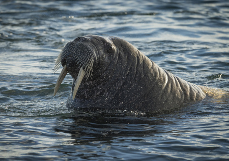 Какой сегодня день? Праздники и памятные даты 24 ноября 2025 года