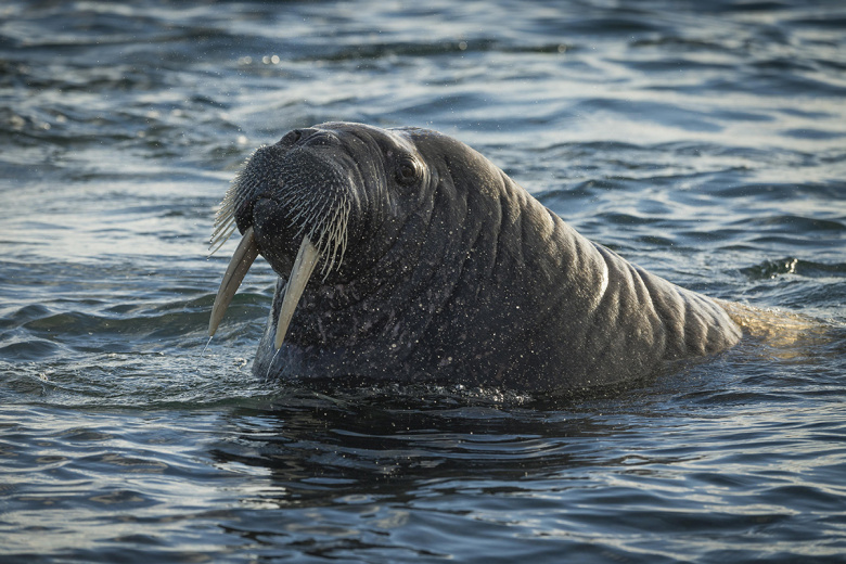 Какой сегодня день? Праздники и памятные даты 24 ноября 2025 года