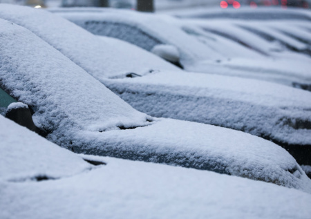 Адвокат предупредила об опасности парковки в «зеленых зонах»