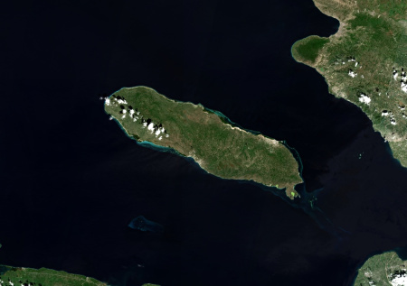 Двое техасцев планировали превратить гаитянский остров в гарем