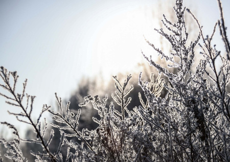 Приметы 25 ноября — Иван Милостивый: провожаем осень и закупаемся