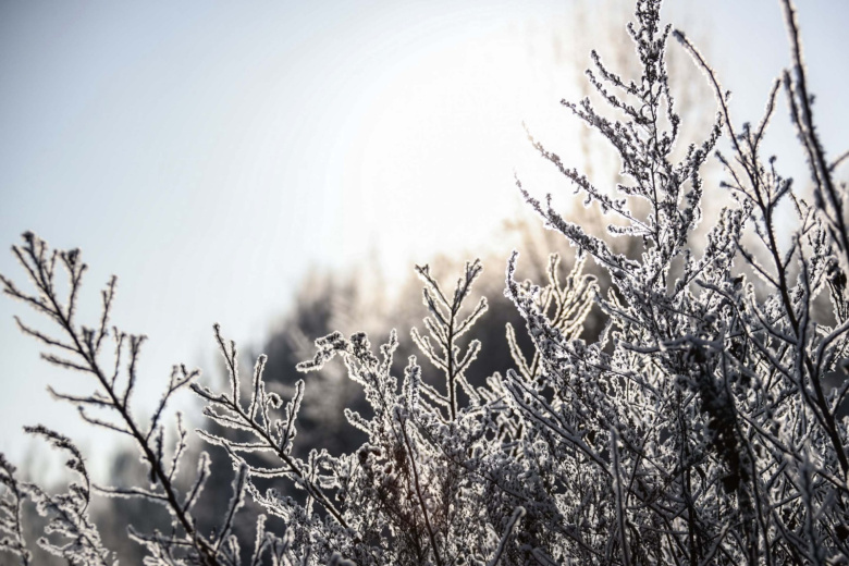 Приметы 25 ноября