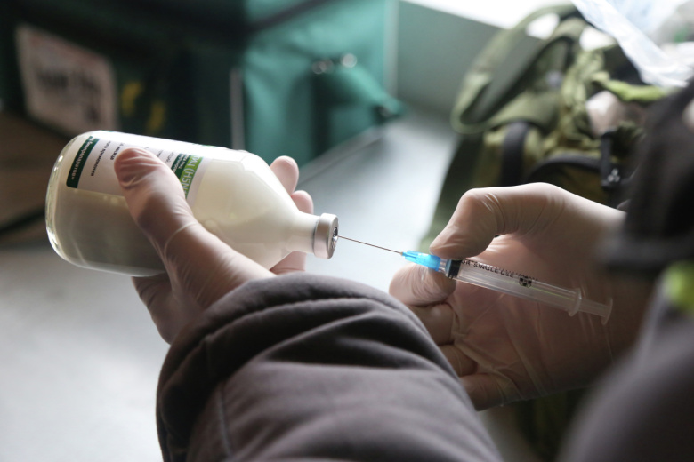 Работник ветеринарной службы готовит вакцину от птичьего гриппа