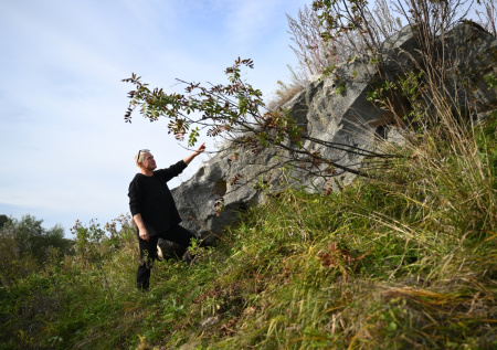 Заповедник «Куликово поле» возвращает себе вид как при Дмитрии Донском