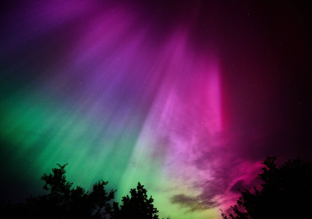 Ученые раскрыли, где над Россией ожидаются полярные сияния