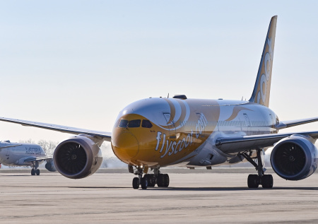 На борту пассажирского самолета вспыхнул пожар