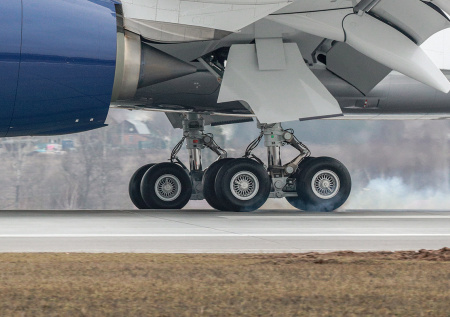 Пробежавших за самолетом по взлетно-посадочной полосе пассажиров арестовали