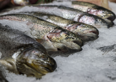 Названы продукты, которые могут спровоцировать выкидыш