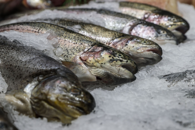 Сырые морепродукты