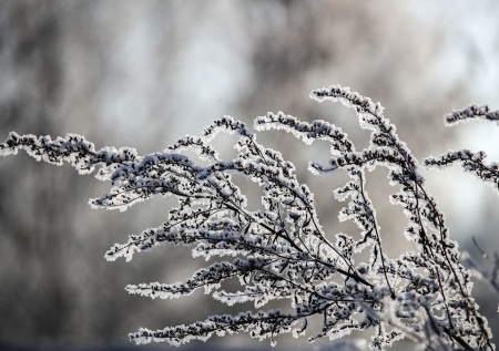 Стало известно, где в России зафиксировали первые 50-градусные морозы