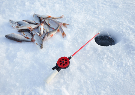 Ленивая рыбалка: выбираем снасти для идеального пассивного промысла окуня