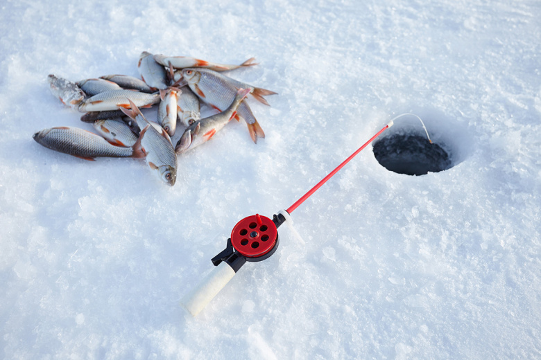 Снасти для пассивной рыбалки — проверенные временем донки и закидушки