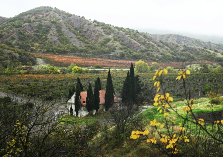 Синоптик назвала причины теплой погоды в Крыму