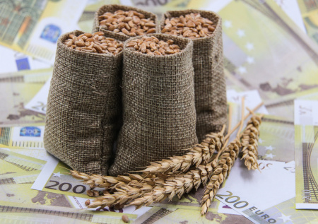 «Время ушло»: МИД России высказался о перспективах зерновой сделки