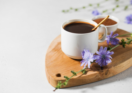 «Главный защитник»: названо неочевидное преимущество цикория