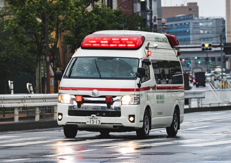 Чат-бот отравил доверчивого пенсионера ядовитыми грибами