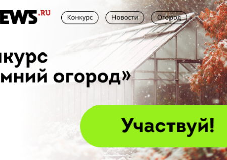 NEWS.ru и «Одноклассники» запустили совместный конкурс