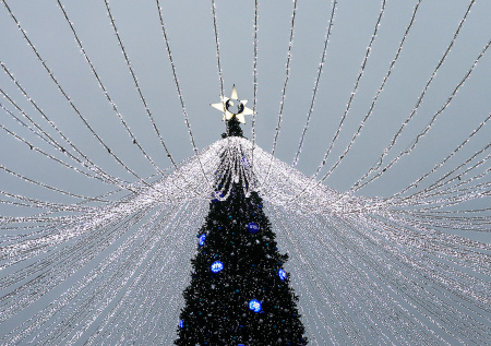 Отчаянные подростки решили стать частью новогодней елки в Петербурге