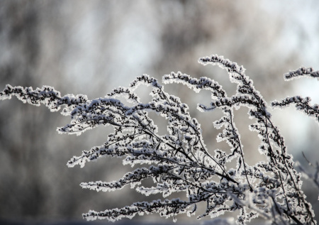Приметы 30 ноября: Григорий Зимоуказатель — провожаем осень, встречаем зиму