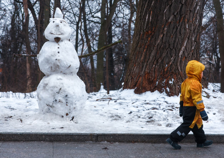 Синоптик рассказал, когда в Москве ждать прихода настоящей зимы