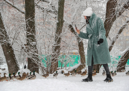 Москвичам рассказали, когда в декабре ждать снега
