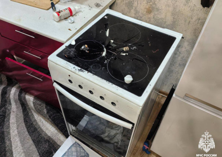 Собака устроила взрыв в квартире