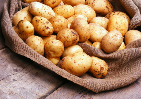 Картофель, который радует без капризов: сорт «Удача» сочетает ранний урожай, устойчивость и отличный вкус — дачники ценят его за надежность