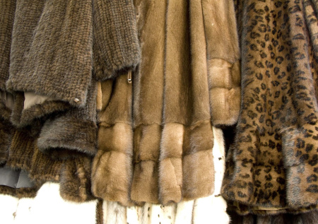 Торговца из Петербурга заподозрили в мошенничестве из-за продажи шубы